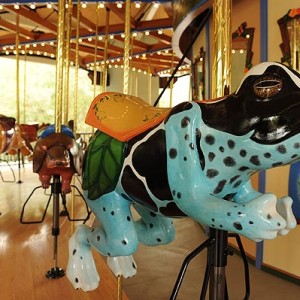 Eight Wild Rides carousel-frog2