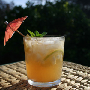 Tiki Drink Done Right – The Perfect Mai Tai mai-tai-cropped